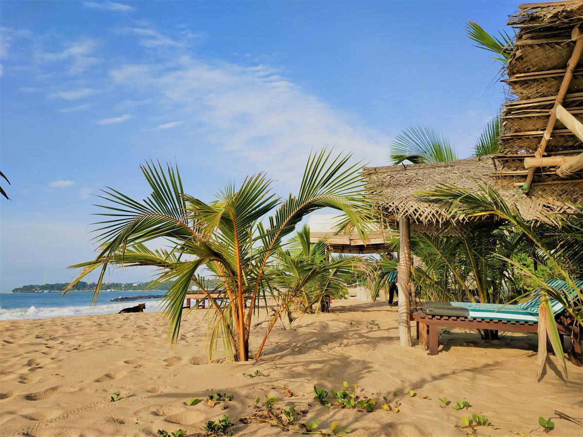 Asha Beach & Spa Tangalle Exterior photo